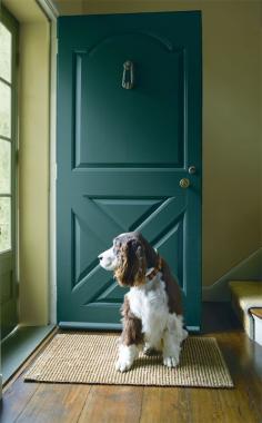 
                    
                        BM Timothy Straw 2149-40 in Regal Select Matte on the wall, BM Jack Pine 692 on the door.
                    
                