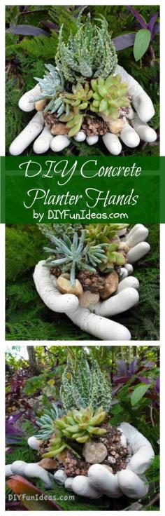 
                    
                        Make these DIY concrete planter hands for your succulents in only 20 minutes! So easy! By Jenise @ DIYFUNIDEAS.COM
                    
                