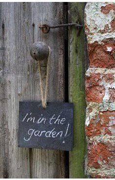 Gardening idea