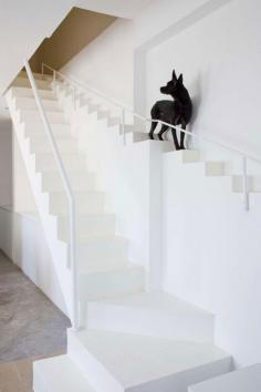 
                    
                        House Renovation with stairs for dogs in Vietnam by 07Beach | www.yellowtrace.c...
                    
                