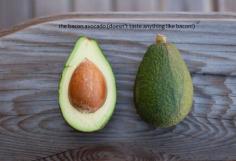 
                    
                        Avocado reviews: Hass, Fuerte, Gwen, Pinkerton, Reed, and Bacon. And, how to buy avocados
                    
                