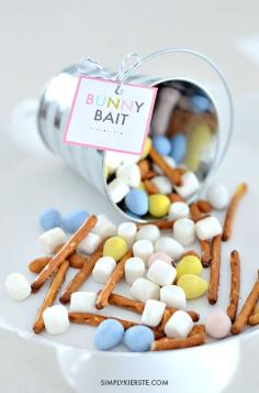 
                    
                        A yummy and easy trail mix that's perfect for spring & Easter, Bunny Bait is fun for parties, classrooms, home, and gift-giving!
                    
                