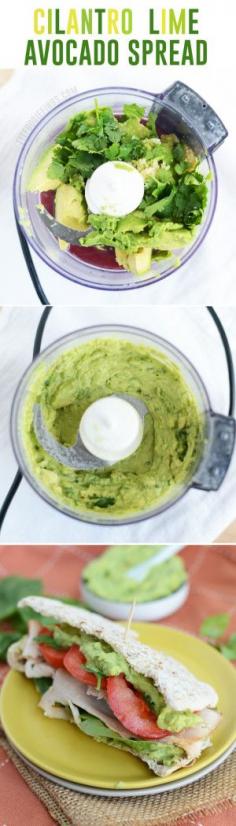 
                    
                        Fresh and healthy cilantro avocado spread from fit foodie finds - plus 17 more avocado #recipes in this roundup! avocados are high in protein and healthy fats as well as fiber. #FitFluential
                    
                