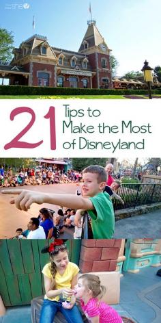 
                    
                        21 Tips to Make the Most of Disneyland
                    
                