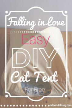 
                    
                        Falling in Love - Easy DIY Cat Tent made for FREE! Find out how at www.artsandclassy...
                    
                