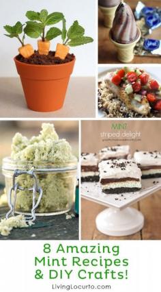 
                    
                        8 Amazing Mint Recipes and Crafts. Desserts and Dinner Ideas with fresh mint, DIY Gift ideas and more! LivingLocurto.com
                    
                