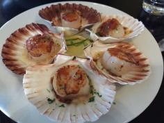 
                    
                        Hurricane's Grill & Bar, Brighton-le-sands, NSW, 2216 - TrueLocal
                    
                