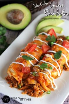 
                    
                        Slow Cooker Enchiladas Recipe. Shredded chicken wrapped in tortillas, smothered in sauce and cooked in the crock pot is the perfect weeknight meal!
                    
                