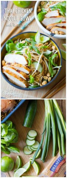 
                    
                        Awesome Thai Chicken Noodle Bowl with Peanut Sauce!
                    
                