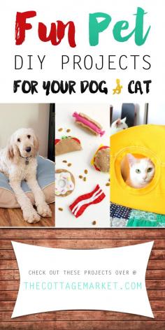 
                    
                        Fun Pet DIY Projects for Your Dog and Cat - The Cottage Market
                    
                