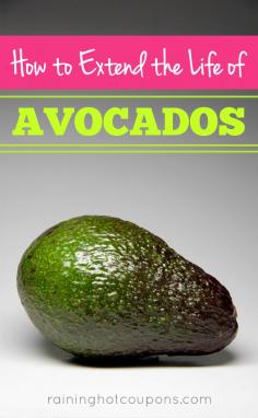 
                    
                        How To Extend The Life Of Avocados
                    
                