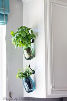Hanging Herbs in Mason Jars. Great for fresh herbs in the kitchen.