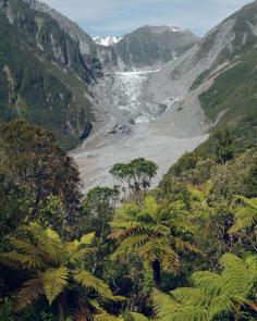 
                    
                        Fox Glacier, New Zealand
                    
                
