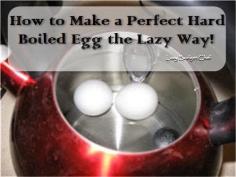 
                    
                        Lazy Budget Chef: How to Make Perfect Hard Boiled Eggs Every Time
                    
                