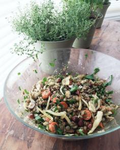 
                    
                        Lentil Salad with Roasted Fennel and Carrots | mountainmamacooks...
                    
                
