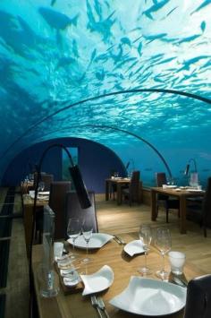 
                    
                        We ate a place like this in Galveston, texas by kemah boardwalk, that was before hurrican katrina.... not sure if its still there Conrad Maldives Rangali Island(10+ Pics)
                    
                