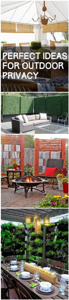 
                    
                        Perfect Ideas for Outdoor Privacy
                    
                