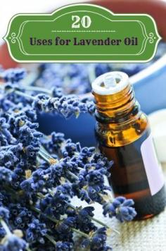 The Many Health Benefits of Lavender~ Here are just a few other conditions that lavender can help with: Acne, Alopecia areata, Anxiety. Athlete's foot, Burns, Cold sores, Colic (for babies), Cramps, Dandruff,   Diaper rash, Eczema, Sinus, Congestion, Headache Relief, Insect Bites/Stings, Insomnia, Psoriasis,   Rash and Sunburn.   #Spa #aromatherapy #relax #pampering