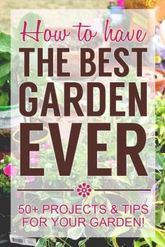 
                    
                        How To Have The Best Garden Ever - An All Things Creative Collection
                    
                