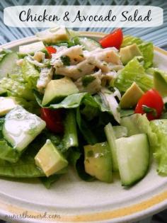 
                    
                        Num's the Word: This simple Chicken Avocado salad can be made in minutes and is the perfect summertime main dish or side dish. No oven or stove required so your home stays cool!
                    
                