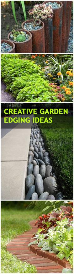 
                    
                        Creative Garden Edging Ideas
                    
                