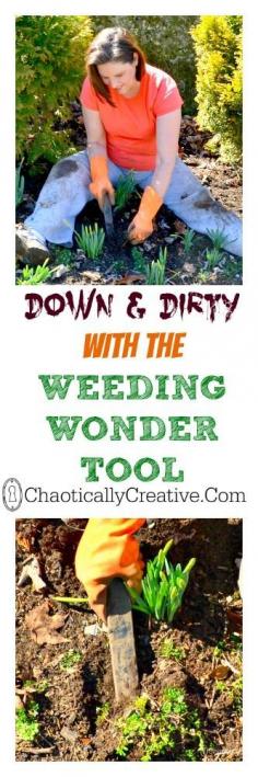 
                    
                        Down and Dirty - Chaotically Creative
                    
                
