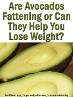 
                    
                        Many people still think avocados are fattening. Here's why they're not and why it's worth eating more avocado, especially if you want to lose weight superfoodprofiles...
                    
                