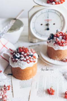 
                    
                        Holiday Cheer with Cake! — Two Loves Studio
                    
                