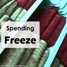 
                    
                        What could be more effective to getting your budget on track than a Spending Freeze or No Spend Month? A "Category Spending Freeze" can help change habits.
                    
                