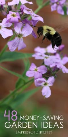 
                    
                        48 smart, money-saving ideas for organic gardeners
                    
                