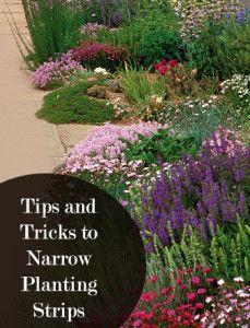 #Gardening #Landscaping Tips and Tricks to Narrow Planting Strips