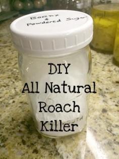 
                    
                        This DIY all natural roach killer is the perfect alternative to chemical killers, especially when you have kids or pets. This recipe has only 2 ingredients!
                    
                