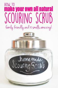 
                    
                        The perfect addition to a naturally fresh home?  All Natural Scouring Scrub! It smells delicious and it works like magic.  MAGIC, I Say!
                    
                