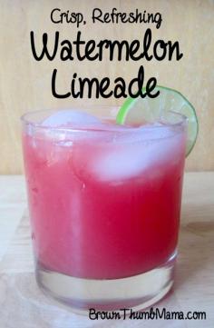 
                    
                        Crisp, Refreshing Watermelon Limeade - Brown Thumb Mama
                    
                