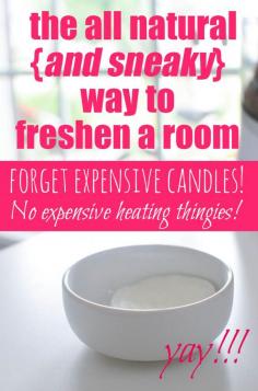 
                    
                        The all natural {and sneaky} way to freshen a room without buying candles or expensive scent thingies!
                    
                