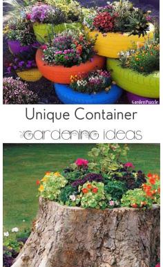 
                    
                        Unique Ideas for Container Gardening- Great Tips and Tricks and unlikely items that can be used for container gardening.
                    
                