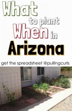 An Arizona planting guide. Things are different in the dessert -- print out what to plant when!