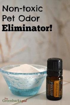 
                    
                        Use this Non-toxic Pet Odor Eliminator to get rid of the pet smells in your home and replace them with the scent of wild orange. Safe to use around dogs.
                    
                