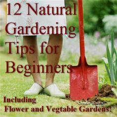 12 Natural Gardening Tips for Beginners