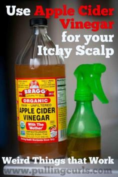 
                    
                        Use Apple Cider Vinegar for your Itchy Scalp
                    
                