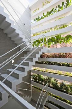 
                    
                        Stacking Green / Vo Trong Nghia - This beautiful house in Vietnam won House of the Year 2012.  Layers of planters up the entire front and back of the building bring green-diffused light to viewers in every room of the house
                    
                