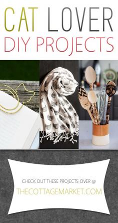
                    
                        Cat Lover DIY Projects - The Cottage Market
                    
                