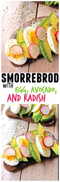 
                    
                        Smorrebrod with egg, avocado, and radish from Global Feasts Denmark! // Rhubarbarians
                    
                