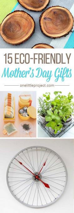 
                    
                        15 Eco-Friendly Mother's Day Gifts - There are lots of beautiful options that are kind to mother nature!
                    
                