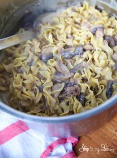 
                    
                        One pot beef stroganoff recipe. A quick and easy meal perfect for the busy dinner hour. Only one pan to clean! #recipe #dinner skiptomylou.org
                    
                