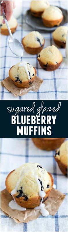 
                    
                        These Blueberry Muffins are quick and easy and the sugared glaze is the perfect finishing touch!
                    
                