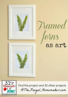 Framed ferns as art (day 31 of 31 days of Pinterest)