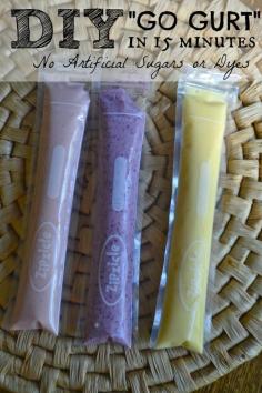 Homemade GoGurt