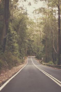 
                    
                        Sydney - Australia I can imagine driving down a road like this, and it would be perfect.
                    
                