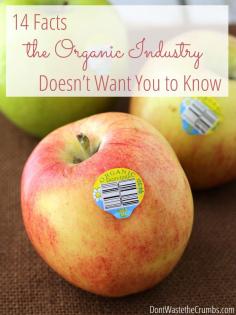 
                    
                        Before you spend another dollar on organic food, read these 14 facts the organic industry doesn't want you to know. You'll be shocked to learn the truth! :: DontWastetheCrumb...
                    
                